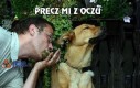 Precz mi z oczu