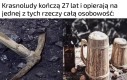 Jak ja nienawidzę elfów