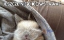 Jeszcze nie chcę wstawać