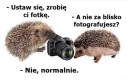 Pięknie wyszło