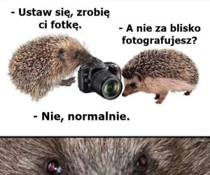 Pięknie wyszło