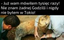 Panie władzo, jestem niewinny!