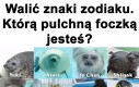 Ja jestem Ponsuke ngl