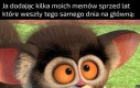 Dedykuję te zwycięstwo mojemu lenistwu