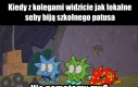 Kudłacze postowanie