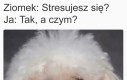 Niemniej tak, od świtu do zmierzchu i całymi nocami