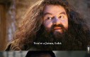 Hagrid, jak możesz!