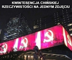 Perfekcja