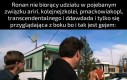 Ddawdad w tym układzie tylko patrzy bo to lubi najbardziej oczywiście
