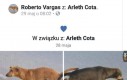 Nadal lepsza historia miłosna niż Zmierzch
