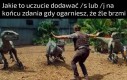Deeskalacja!