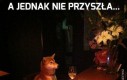 A jednak nie przyszła...