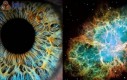 Oko vs kosmos