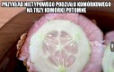 To prawda, nie zmyślam