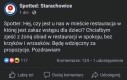 Uwielbiam jeść wykwintne dania w akompaniamencie krzyków