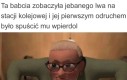 To był niegrzeczny bardzo kotek