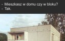 Coś pomiędzy