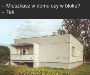 Coś pomiędzy