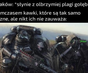 Przeklęte gołębie - Gloria Domino Corvorum!