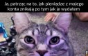 Dlaczego tak?