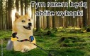 Kupa śmiechu