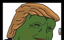 Oto rzadki Pepe Trump