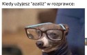 Mędrzec
