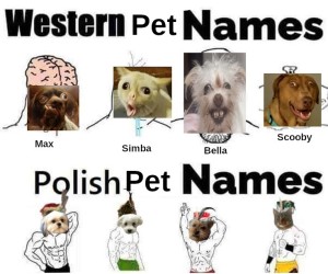 Polska szkoła imion wymiata
