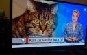 Gorący temat