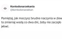 Perfekcyjna pani domu