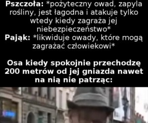Osa