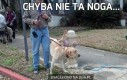 Chyba nie ta noga...