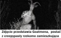 Znaleźliśmy bohatera, który poskromi tego stwora