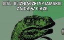 Bliźniaczki syjamskie