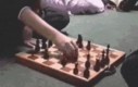 Chomik i szachy