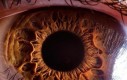 Ludzkie oko w powiększeniu