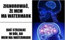 Tytuł: *