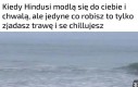 Niezłe życie