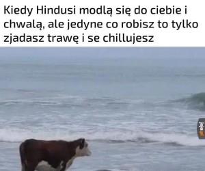 Niezłe życie