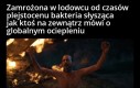 Czas na wielki powrót