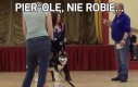 Pier*olę, nie robię...