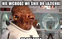 To pułapka