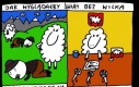 Świat bez wilków