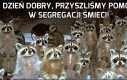 Dzień dobry, przyszliśmy pomóc w segregacji śmieci!