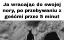 Żegnam