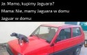 Stare, ale jare