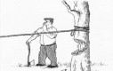 Samobójstwa zajączka: Zajączek i ścinka drzewa