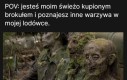 Witajcie towarzysze niedoli