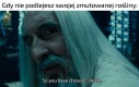Tytuł ma kłopoty