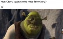 Sam zadaję sobie to pytanie